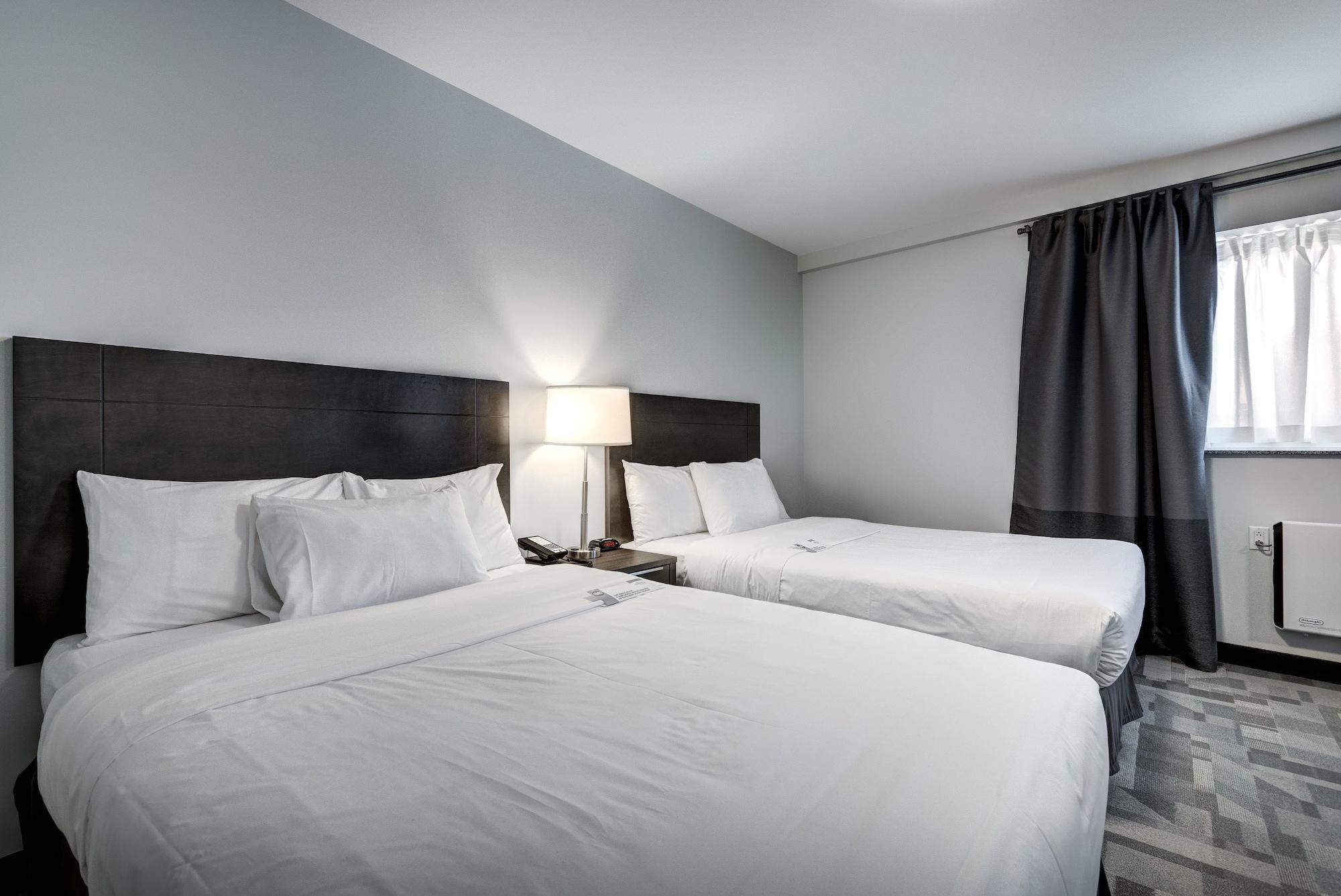 Terrasse Royale Hotel Montréal Dış mekan fotoğraf